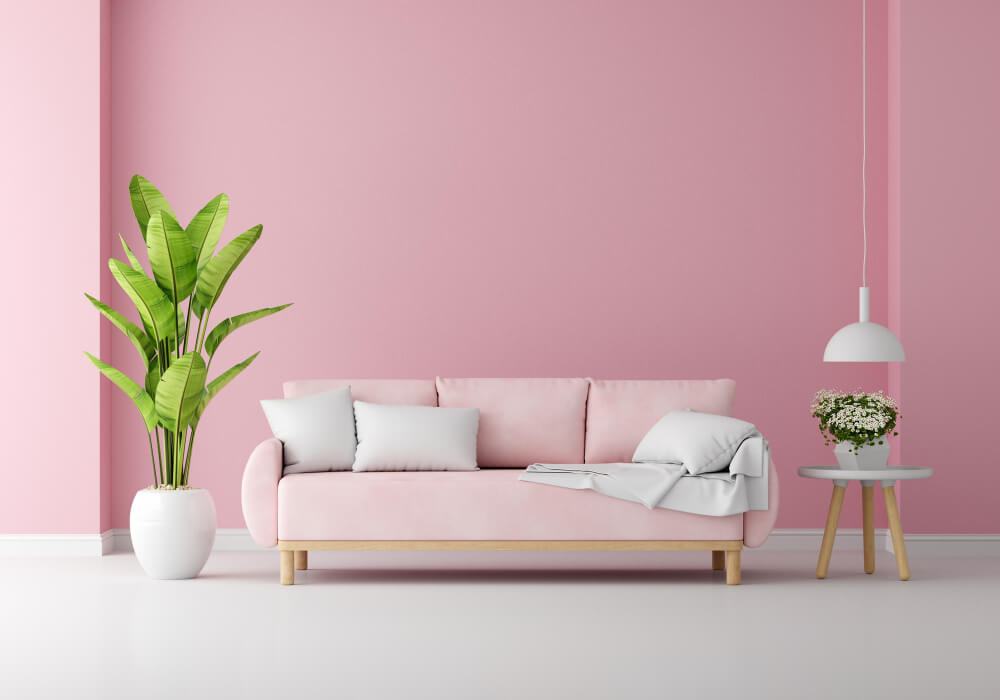 A pink couch in front of a pink wall with a potted plant.