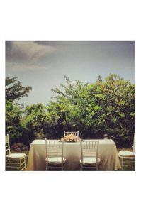 A Tiffany Chair - White with chairs in front of a tree.