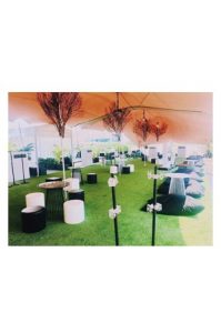 a large madison pouf with tables and chairs on the grass