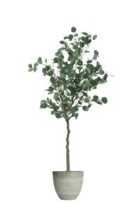 a small faux eucalyptus tree 160cm in grey planter on a white background