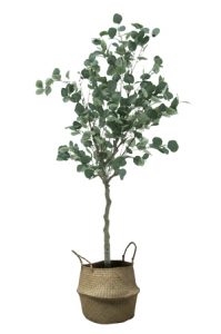 a small faux eucalyptus tree 160cm with woven basket