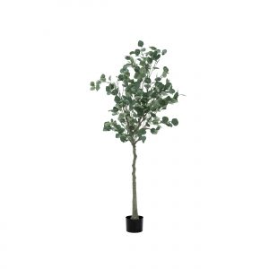 a small faux eucalyptus tree 160cm with woven basket on a white background