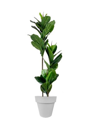 Faux Ficus Lyrata Tree 150cm In Grey Planter