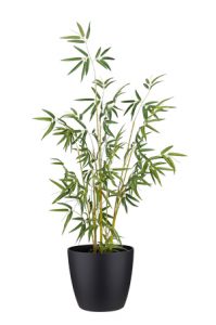 faux calathea tree 110cm in a black pot on a white background