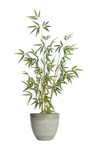 faux calathea tree 110cm in grey planter in a pot on a white background