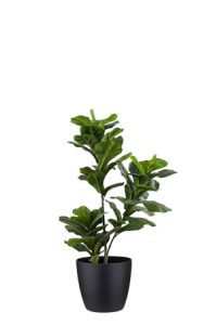a faux ficus lyrata tree 100cm in a black planter on a white background
