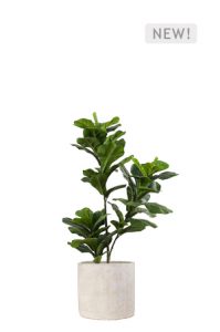a faux ficus lyrata tree 100cm in grey planter on a white background