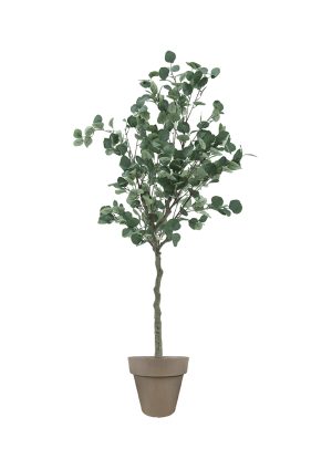 Faux Eucalyptus Tree 160cm In Brown Planter