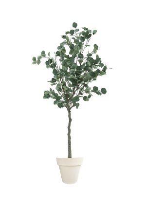 Faux Eucalyptus Tree 160cm In Off White Planter