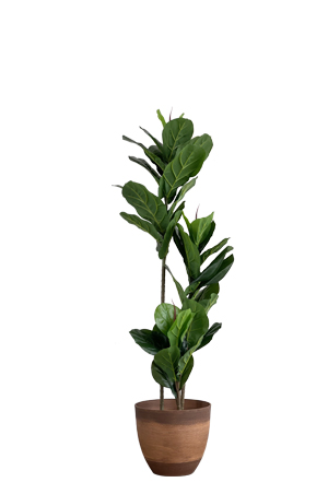 a faux ficus lyrata tree 150cm in a brown planter on a white background