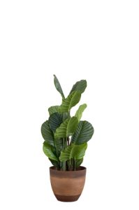 a faux calathea tree 110cm in a brown planter on a white background