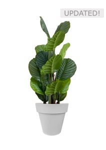 Faux Calathea Tree 110cm In Grey Planter