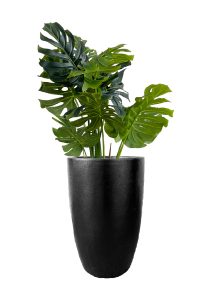 FAUX MONSTERA TREE IN FIBRE LARGE BLACK (150CMH) (FL83 - MONFLB)