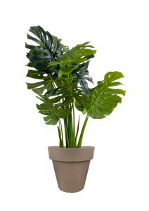 Faux Monstera Tree 120cm In Brown Planter