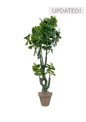 Faux Schefflera Tree 170cm In Brown Planter