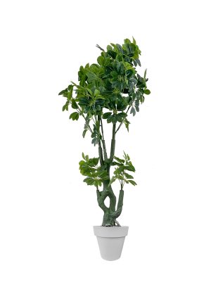 Faux Schefflera Tree 170cm In Grey Planter