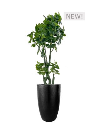 FAUX SCHEFFLERA TREE IN FIBRE LARGE BLACK PLANTER (OVERALL 200CMH) (FL84 - SCHFLB)