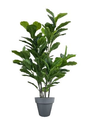 FAUX GREEN FIG 140CM IN BLACK PLANTER (FL86 - FIGB)