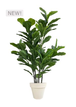 FAUX GREEN FIG 140CM IN OFF WHITE PLANTER (FL86 - FIGOW)