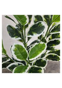 FAUX VARIEGATED WHITE FIG 140CM (FL85 - FIG)- CLOSE UP