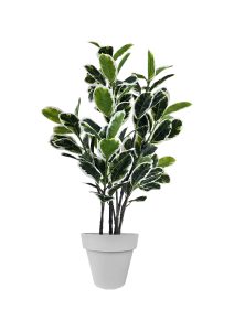 FAUX VARIEGATED WHITE FIG 140CM IN GREY PLANTER (FL85 - FIGC)