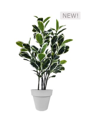 FAUX VARIEGATED WHITE FIG 140CM IN GREY PLANTER (FL85 - FIGC)