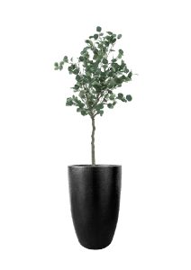 FAUX EUCALYPTUS TREE IN FIBRE LARGE BLACK PLANTER (OVERALL 190CMH) (FL79 - EUFLB)