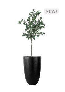 FAUX EUCALYPTUS TREE IN FIBRE LARGE BLACK PLANTER (OVERALL 190CMH) (FL79 - EUFLB)