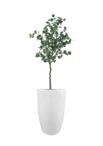 FAUX EUCALYPTUS TREE IN FIBRE LARGE WHITE PLANTER (OVERALL 190CMH) (FL79 - EUFLW)