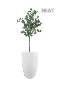 FAUX EUCALYPTUS TREE IN FIBRE LARGE WHITE PLANTER (OVERALL 190CMH) (FL79 - EUFLW)