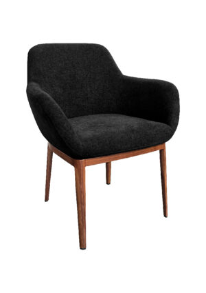 ÉLAN™ LOUNGE ARMCHAIR - BLACK (SF24 - EB)