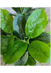 FAUX RUBBER TREE 140CM (FL87 - RU) CLOSEUP