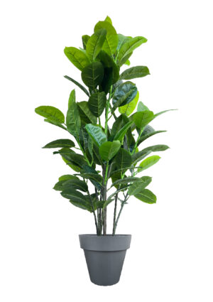 FAUX RUBBER TREE 140CM IN BLACK PLANTER (FL87 - RUB)