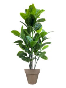 FAUX RUBBER TREE 140CM IN BROWN PLANTER (FL87 - RUBR)