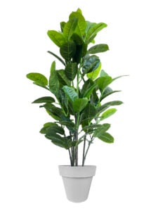 FAUX RUBBER TREE 140CM IN GREY PLANTER (FL87 - RUC)