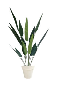 FAUX SKYBIRD TREE 140CM IN OFF WHITE PLANTER (FL88 - SKOW)