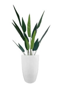 FAUX SKYBIRD TREE IN FIBRE LARGE WHITE PLANTER (OVERALL 170CMH) (FL88 - SKFLW)