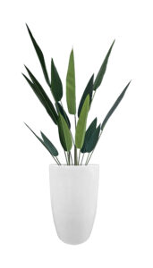 FAUX SKYBIRD TREE IN FIBRE LARGE WHITE PLANTER (OVERALL 170CMH) (FL88 - SKFLW)