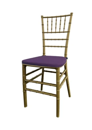 TIFFANY CHAIR GOLD - PLUM PURPLE SEAT (CH7 - TGPP)